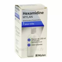 Hexamidine Mylan 1 Pour Mille S Appl Loc Fl/250ml à Tours