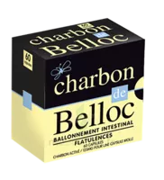 Charbon De Belloc 125 Mg Caps Molle B/60 à Tours